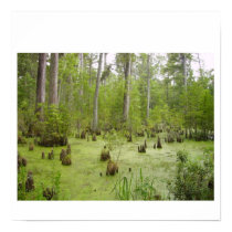 Nature posters by TeresaCreations Nature posters