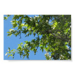 Nature posters