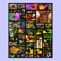 Nature Poster posters