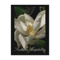 Nature Refreshes Postcard