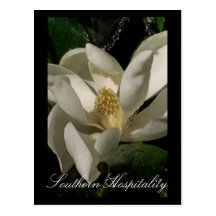 Nature Refreshes Postcard