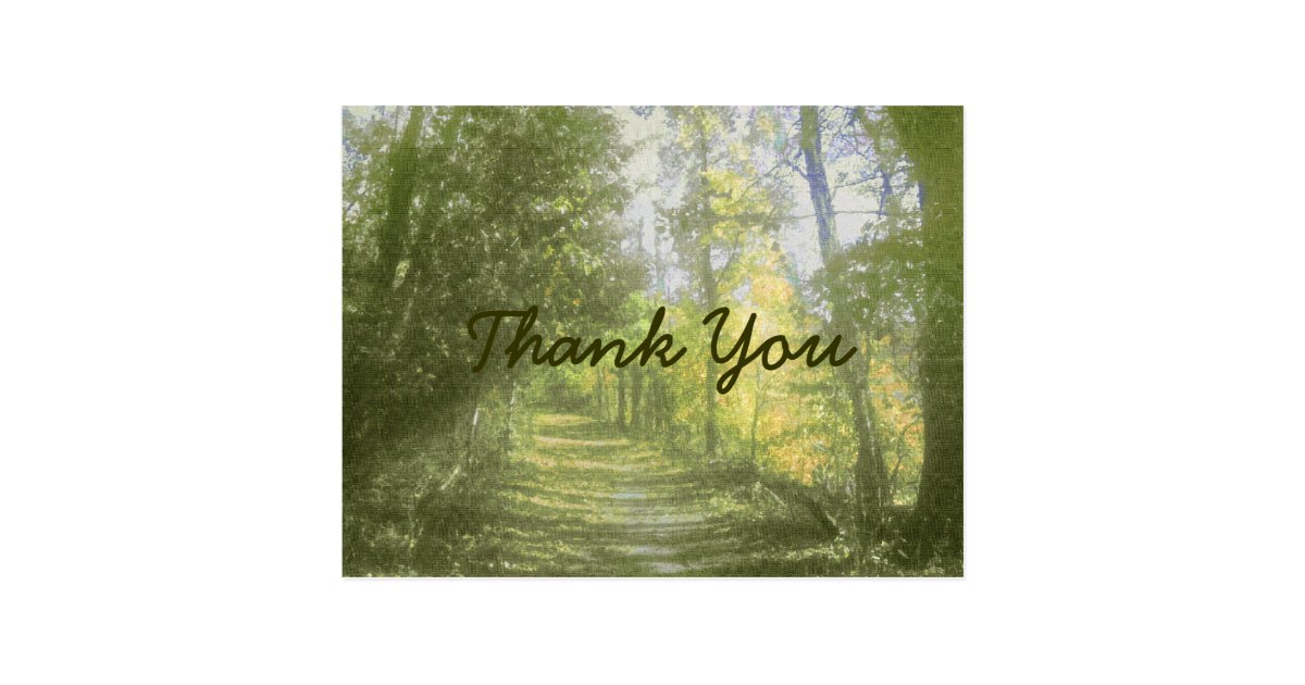 Nature Scene Thank You PostCard Zazzle
