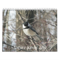 Nature Scenes 2010 Calendar by musespeak Nature Scenes 2010 Calendar