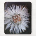 nature seed head mousepads