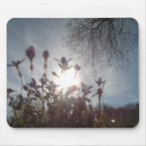 Nature Series Photographs mousepads