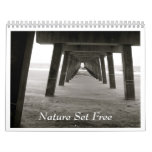 Nature Set Free
