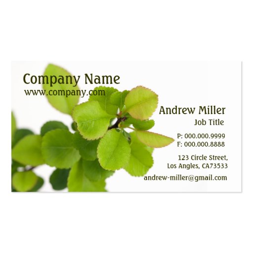 Nature Simplicity l Green Leaves Business Cards (front side)