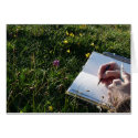"Nature Sketching" cards