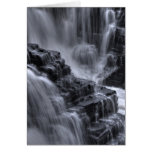 nature steps cards