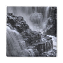 nature steps magnets