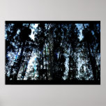nature sucks posters