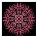'Nature: the Game of Probability' Canvas Art Print by NVCreations 'Nature: the Game of Probability' Canvas Art Print