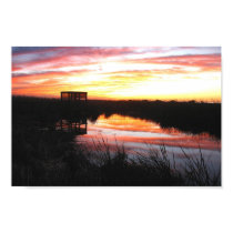 Nature Trail posters by pattyrodz Nature Trail posters