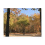 Nature, Trees, Elements, Outdoor, Travel, Sky Post Card