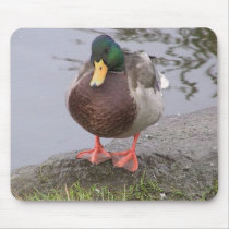 Nature View Ottawa - Mousepad by Passport2Heaven Nature View Ottawa - Mousepad