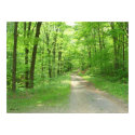 Nature Walk posters
