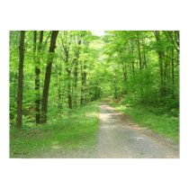 Nature Walk posters by cskeers Nature Walk posters