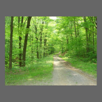 Nature Walk posters