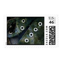 nature worn postage by blacqbook nature worn postage