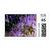 NatureManipulated2 postage