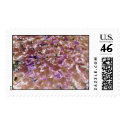 NatureManipulated postage by MrBillyB NatureManipulated postage