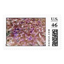NatureManipulated postage
