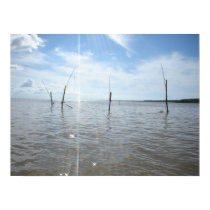 NatureReflects posters