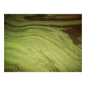 Natures Abstract posters