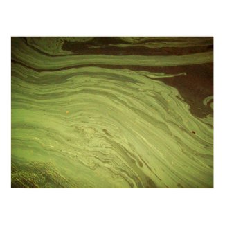 Natures Abstract print
