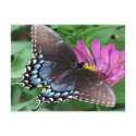 Natures Angels the Butterfly Postcard by Angels_Love_Gifts Natures Angels the Butterfly Postcard