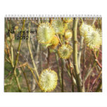 Nature's Art 2012 Calendars