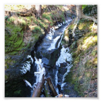 Natures Beauty 6x6 Photographic Print
