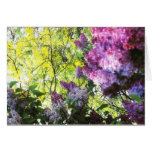 Natures Beauty Card