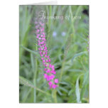 Nature's Beauty Card