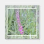 Nature's Beauty Fridge Magnets