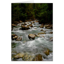 Natures Beauty Greeting Card