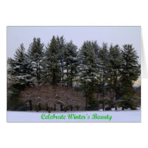 Nature's Beauty Note Card cards