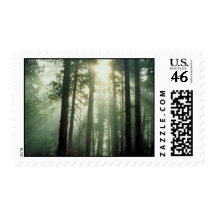 Natures Beauty Postage Stamps
