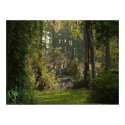 Natures Beauty posters by WolfHeart692 Natures Beauty posters