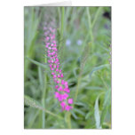 Nature's Beauty Thank you cards