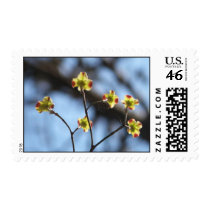Natures Beauty Tree Blossom Postage postage