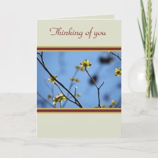 Natures Beauty Tree Blossom Thinking of you card