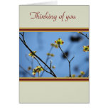 Natures Beauty Tree Blossom Thinking of you Card