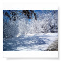 Nature's Beauty-Winter posters