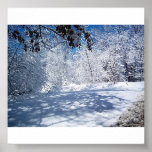 Nature's Beauty-Winter posters
