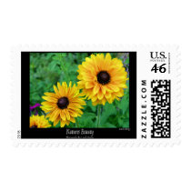 Natures Beauty-Yellow Blossoms Stamp
