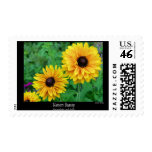 Natures Beauty-Yellow Blossoms postage