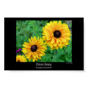Natures Beauty-Yellow Stars in the Garden posters