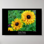 Natures Beauty-Yellow Stars in the Garden posters