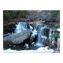 Natures Best posters by mastifftaz Natures Best posters